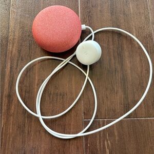 Google Home Mini Coral